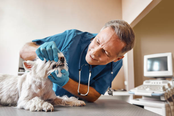 Best Emergency Dentist Near Me  in Tioga, TX
